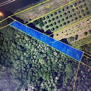 Prodej lesa 1340 m&sup2; Březolupy