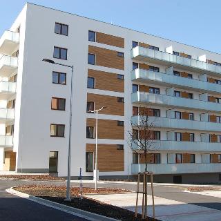 Pronájem bytu 2+kk 55 m² Teplice, Novoveská