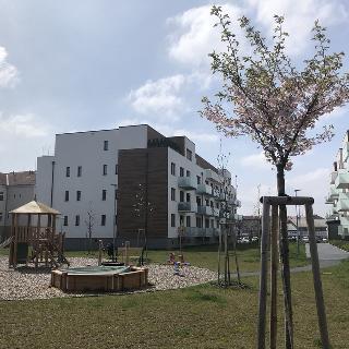 Prodej bytu 3+kk 78 m² Olomouc, Třída Jiřího Pelikána