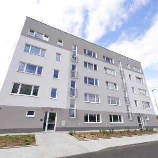 Prodej bytu 2+kk 49 m² Žatec, Husova