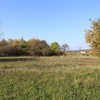 Prodej stavební parcely 10233 m² Vápno