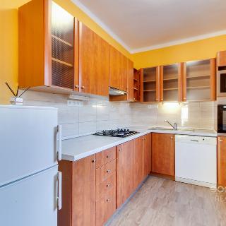 Pronájem bytu 2+kk 50 m² Praha, Luštěnická