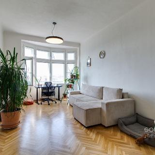 Pronájem bytu 2+kk 53 m² Praha, Žitomírská