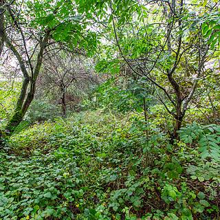 Prodej zahrady 644 m&sup2; Praha