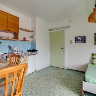 Pronájem bytu 1+kk a garsoniéry 30 m² Praha, U kolejí