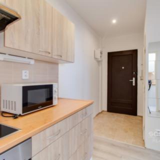 Pronájem bytu 1+1 32 m² Praha, Neveklovská
