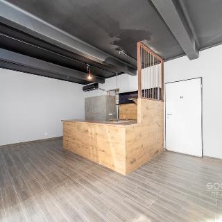 Prodej obchodu 47 m² Praha, Biskupcova