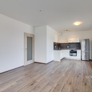 Pronájem bytu 1+kk a garsoniéry 44 m² Praha, Nekvasilova