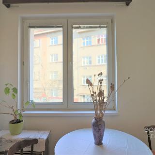 Pronájem bytu 1+1 50 m² Praha, Kolbenova