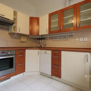 Prodej rodinného domu 450 m² Praha, Průběžná