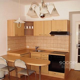 Pronájem bytu 1+1 48 m&sup2; Praha