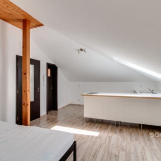 Pronájem bytu 1+kk a garsoniéry 30 m² Praha Horní Počernice, Mezihoří