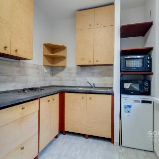 Pronájem bytu 1+1 35 m² Praha, Alžírská