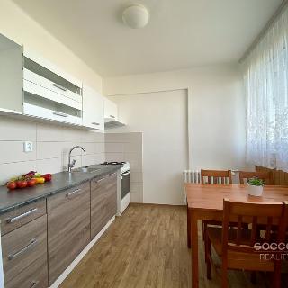 Pronájem bytu 1+1 43 m² Mladá Boleslav, tř. Václava Klementa