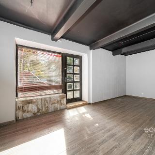 Prodej obchodu 47 m² Praha, Biskupcova