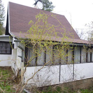 Prodej chaty 35 m² Sázava