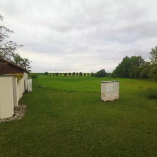 Dražba zemědělské půdy 1053 m² Černošice