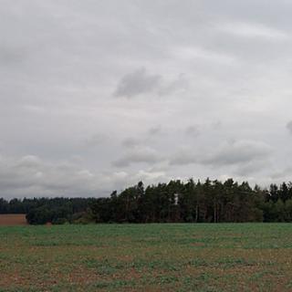 Dražba lesa 7793 m&sup2; Blížejov