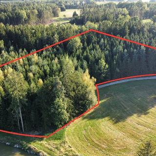 Prodej lesa 4 988 m² Jarošov nad Nežárkou, 