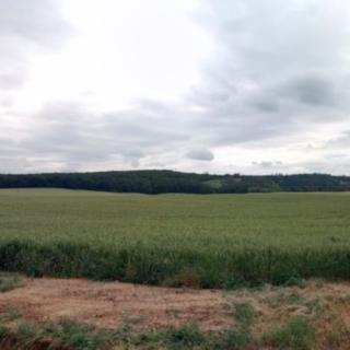 Dražba zemědělské půdy 33063 m² Jinačovice