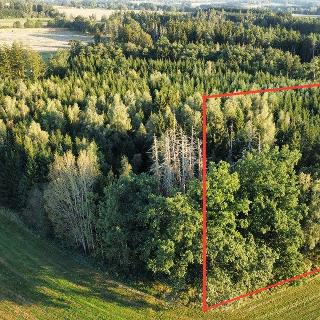 Prodej lesa 11 693 m² Jarošov nad Nežárkou, 