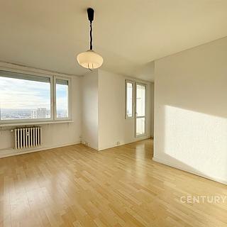 Pronájem bytu 1+1 41 m&sup2; Praha