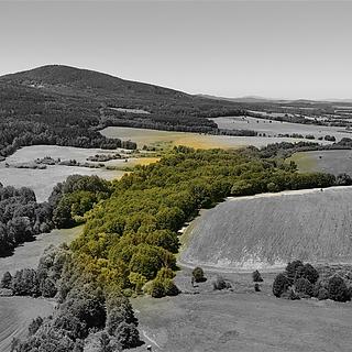 Prodej lesa 29772 m² Horní Stropnice