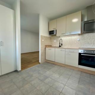 Pronájem bytu 1+1 37 m² Praha