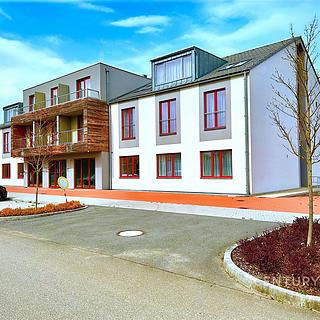 Pronájem bytu 1+kk, garsoniery 48 m&sup2; Tachlovice