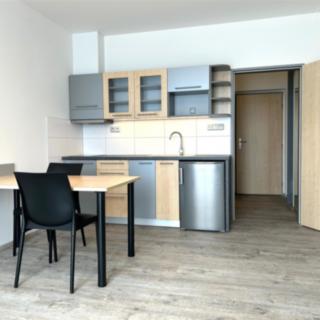 Pronájem bytu 1+kk, garsoniery 28 m² Tachlovice