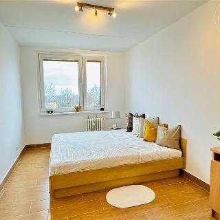 Pronájem bytu 2+kk 43 m² Praha