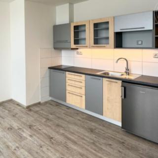 Pronájem bytu 1+kk, garsoniery 28 m² Tachlovice