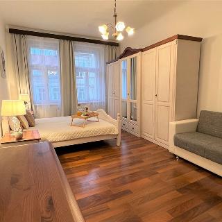 Pronájem bytu 1+1 50 m² Praha, Veletržní