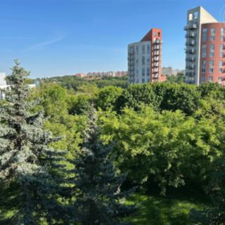 Pronájem bytu 2+1 53 m² Praha