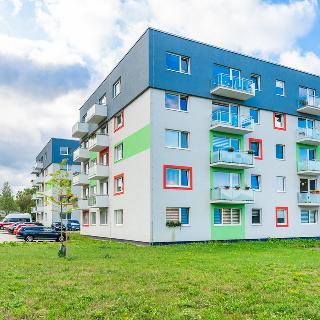 Prodej bytu 2+kk 47 m² Ostrov, Severní