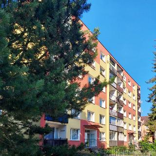 Prodej bytu 3+1 64 m² Ústí nad Labem