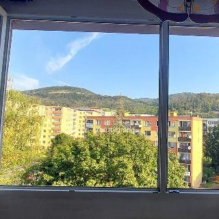 Prodej bytu 3+1 80 m² Ústí nad Labem, Družstevní