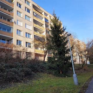 Prodej bytu 2+kk 47 m² Praha, Ježovská