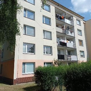 Pronájem bytu 1+kk a garsoniéry 29 m² Olomouc, Jarmily Glazarové