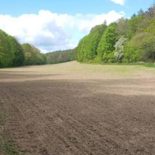 Pronájem zahrady 17 933 m² Olovnice