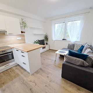 Pronájem bytu 2+kk 48 m² Kralupy nad Vltavou, Souběžná