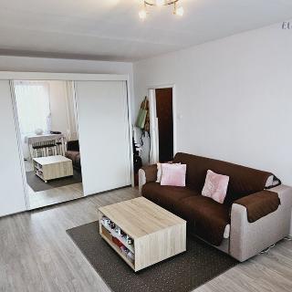 Prodej bytu 1+1 39 m² Praha, Bínova