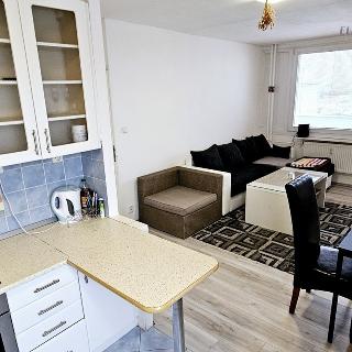 Pronájem bytu 2+kk 49 m² Kralupy nad Vltavou, Krakovská