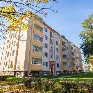 Pronájem bytu 2+1 62 m² Otrokovice, Erbenova