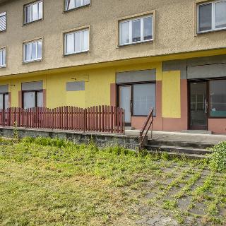 Prodej pokoje 169 m² Zubří, Hamerská