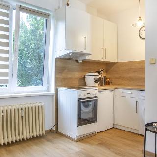 Prodej bytu 1+kk a garsoniéry 23 m² Valašské Meziříčí, Křižná