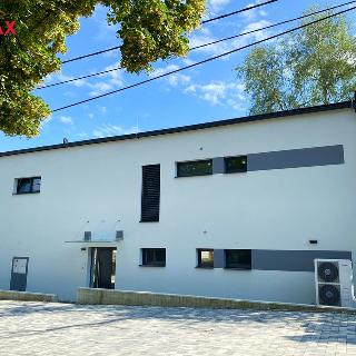 Pronájem bytu 3+kk 87 m² Ostrava, Kasalického