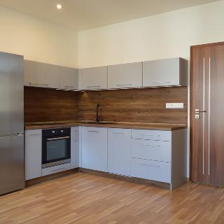 Pronájem bytu 2+kk 46 m² Ostrava