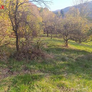 Prodej stavební parcely 2994 m&sup2; Vsetín