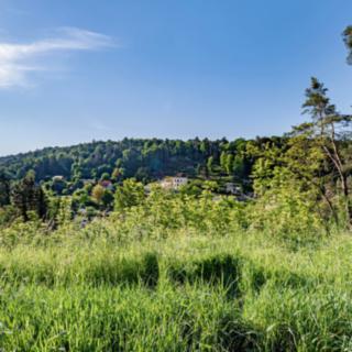 Prodej stavební parcely 1 170 m² Tupadly